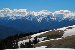 Hurricane Ridge (1)