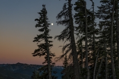 Hurricane Ridge (3)