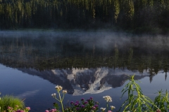 Mt. Rainier (3)