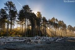 Ruby Beach (1)