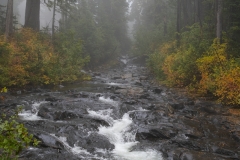 Rainier (4)